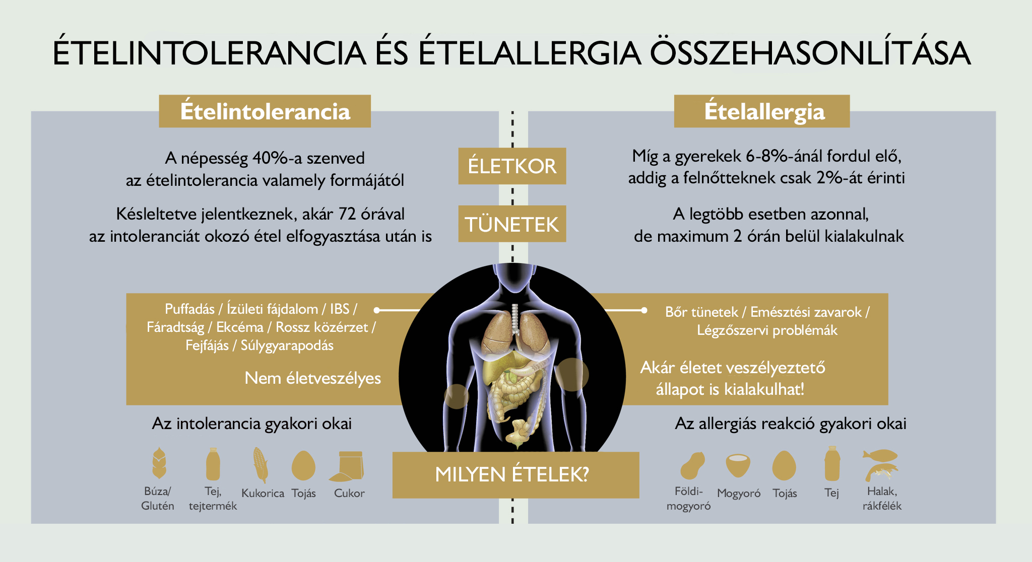 Ételintolerancia és ételallergia összehasonlítása